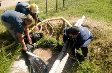 Bomberos de San José rescataron un caballo