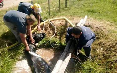 Bomberos de San José rescataron un caballo