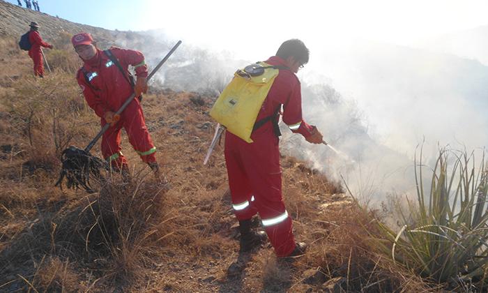 Incendio forestal desnudó carencias en bomberos