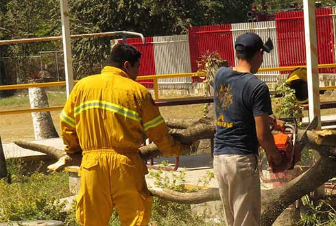 Se extinguen voluntarios en Bomberos