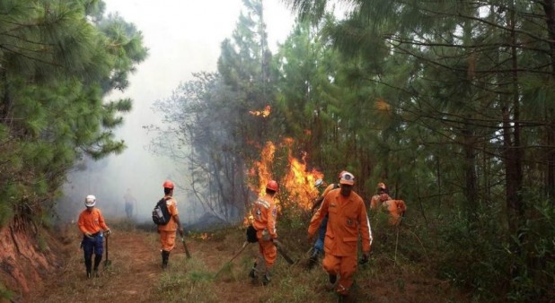 Luego de 4 días, lograron controlar incendio