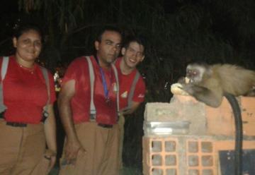 Bomberos Voluntarios rescatan a un mono en Lambaré