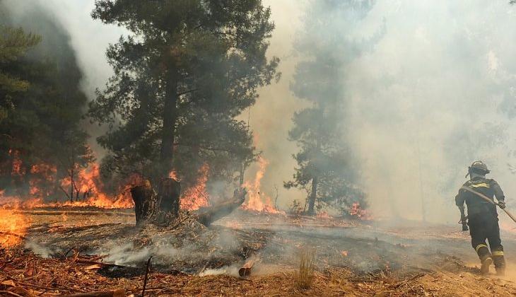 Detienen a capitán de Bomberos acusado de iniciar incendio forestal en Curanilahue