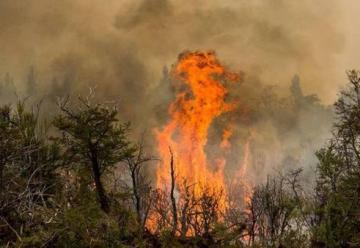 El incendio en Chubut ya es el más grande en 70 años