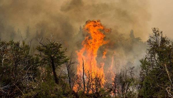 El incendio en Chubut ya es el más grande en 70 años