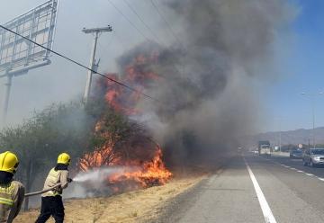 Brigadistas argentinos se suman a labores de combate de incendios forestales