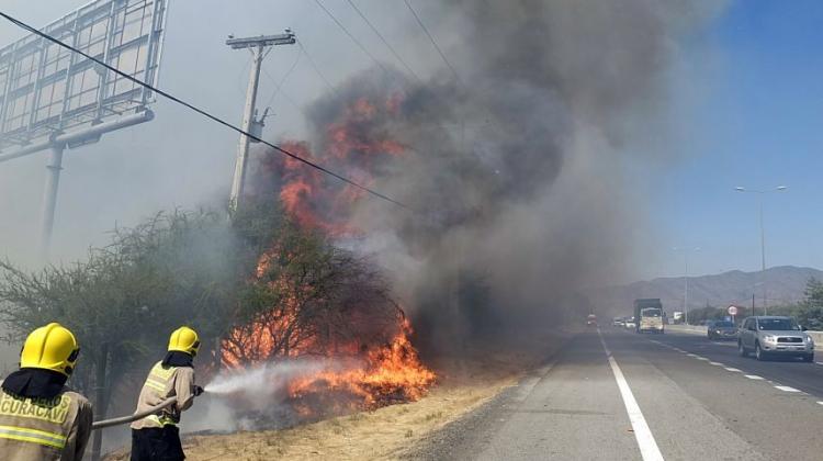 Brigadistas argentinos se suman a labores de combate de incendios forestales