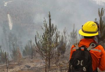 12 focos de incendio afectan al Bío Bío en Chile