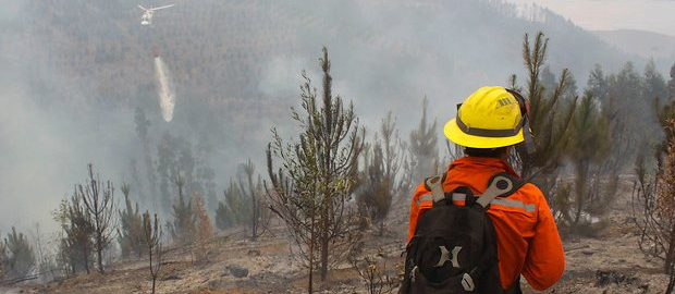 12 focos de incendio afectan al Bío Bío en Chile