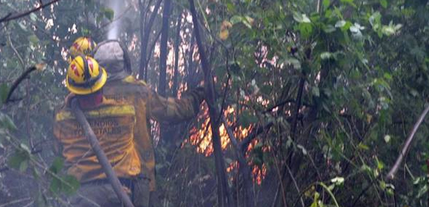 Los incendios forestales en Chubut ya arrasaron mas de 4.000 hectáreas de bosques y vegetacion