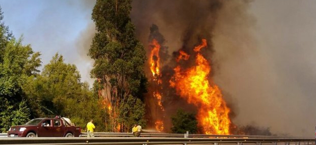 Incendio forestal avanza sin control: evacuan viviendas cercanas