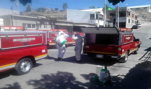 Abejas atacan a Bombero: Esta Grave