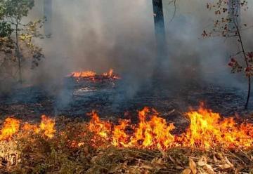 Bomberos combate incendio en Cerro del Toro