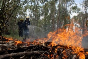 Muere bombero cuando atendía incendio forestal