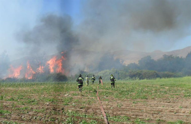 Nueve bomberos lesionados y cuantiosas pérdidas en material por incendio