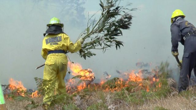 Más de 60 bomberos heridos dejan incendios forestales en el Valle