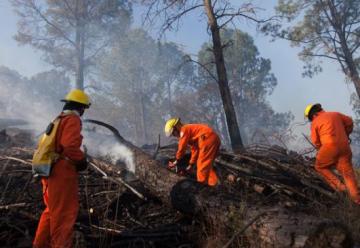 Tres bomberos heridos en incendio forestal en Cordoba