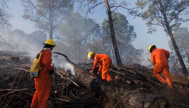 Tres bomberos heridos en incendio forestal en Cordoba