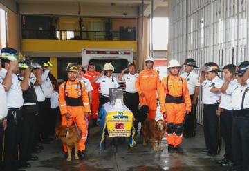 Adiós Rex, el perro héroe de los Bomberos Voluntarios