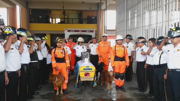 Adiós Rex, el perro héroe de los Bomberos Voluntarios