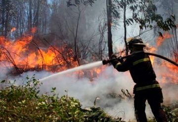 Refuerzo del equipamiento para combatir incendios en los Parques Nacionales