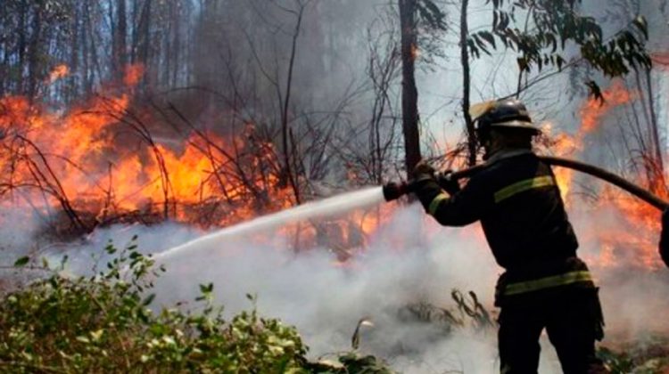 Refuerzo del equipamiento para combatir incendios en los Parques Nacionales