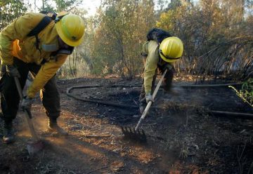 Voluntaria de Bomberos resultó lesionada en incendio forestal