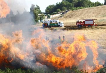 Bomberos denuncian que no tienen equipos para combatir forestales