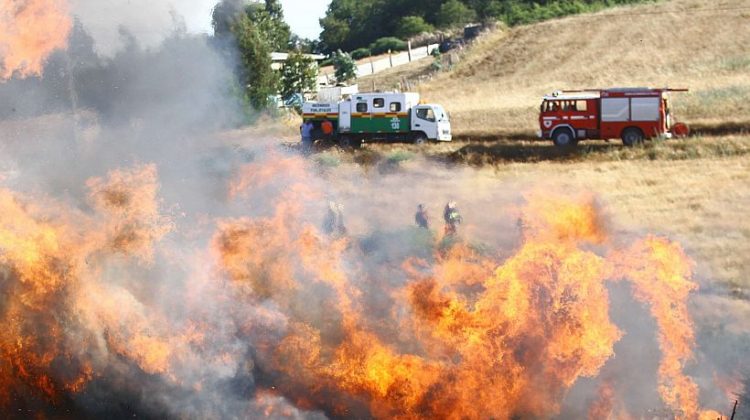 Bomberos denuncian que no tienen equipos para combatir forestales