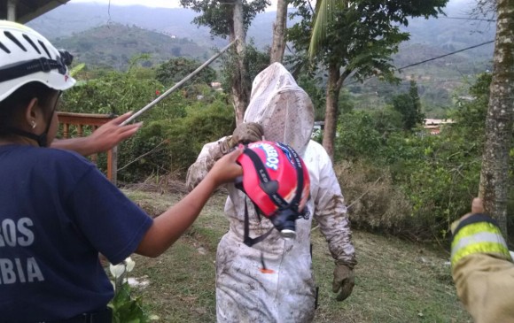 Bomberos de Barbosa fueron atacados por un enjambre de abejas