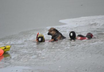 Bomberos rescatan a dos perros de las aguas congeladas de la Bahía Encerrada