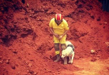 Bomberos voluntarios, sin Unidad Canina