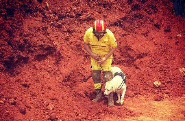 Bomberos voluntarios, sin Unidad Canina