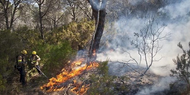 Cuatro bomberos heridos leves por inhalar humo