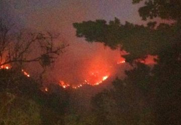 Dos bomberos heridos tras un incendio en cerro de Famatina
