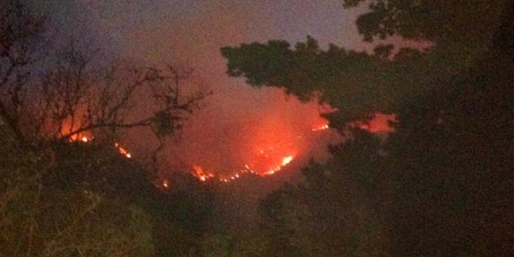 Dos bomberos heridos tras un incendio en cerro de Famatina