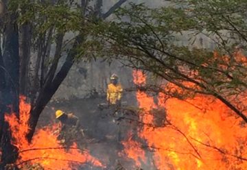 Dos bomberos heridos en un incendio en Quito