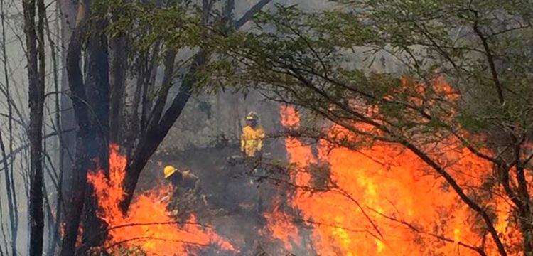 Dos bomberos heridos en un incendio en Quito