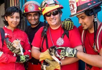 Bomberos crean brigada “Los Ángeles de los Animales”