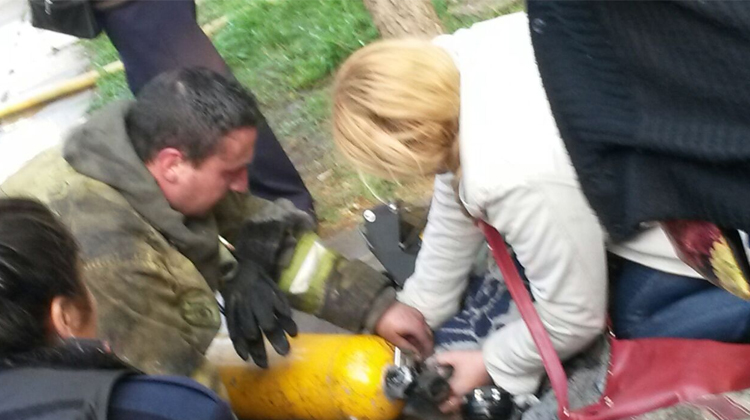 Los Bomberos rescataron a cinco perros de en un incendio