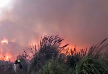 Bomberos amenaza con no acudir a incendios forestales por falta de recursos