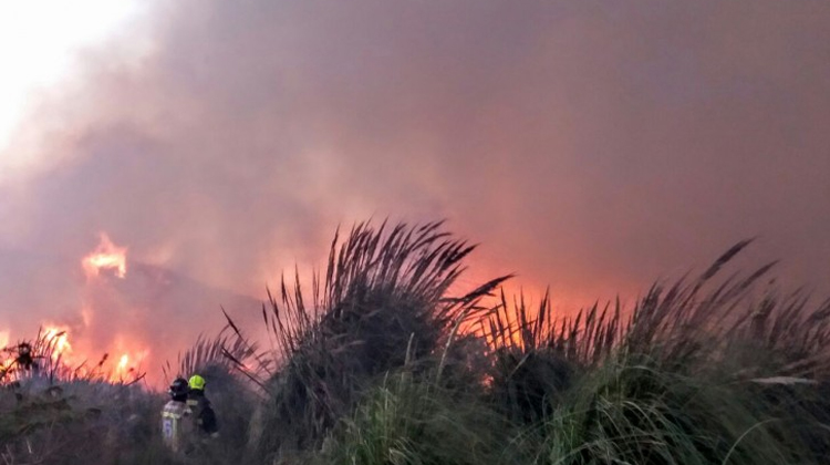 Bomberos amenaza con no acudir a incendios forestales por falta de recursos