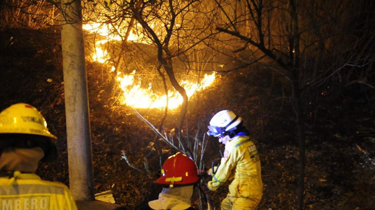 Bomberos siguen luchando contra incendio forestal en Cerro Azul