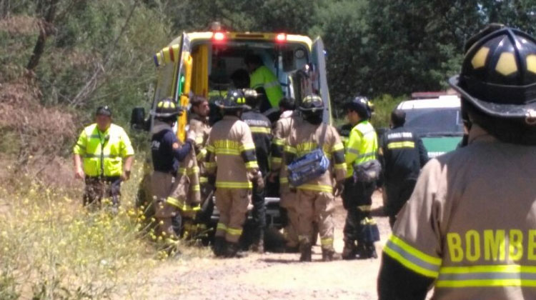 Dos bomberos heridos por caída de árbol en Viña del Mar