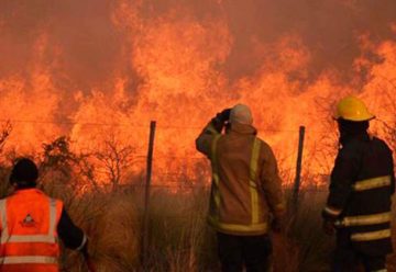 Un incendio arrasó más de 40 mil hectáreas en La Pampa