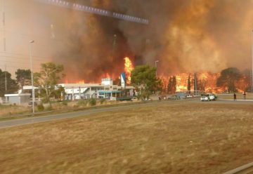 Gran incendio en los bosques de Cariló y Valeria del Mar