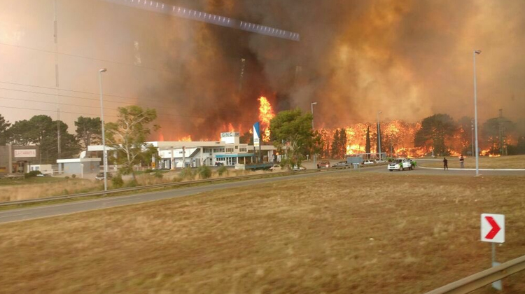 Gran incendio en los bosques de Cariló y Valeria del Mar