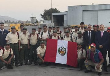 Bomberos peruanos llegan a Chile para sofocar incendios forestales