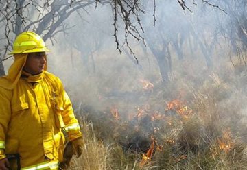 Se desplaza ayuda de bomberos de diferentes provincias a La Pampa