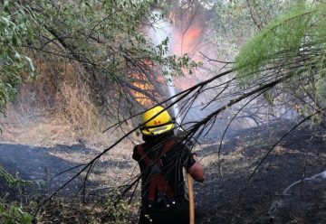 Retienen a bomberos que acudió a combatir incendio forestal